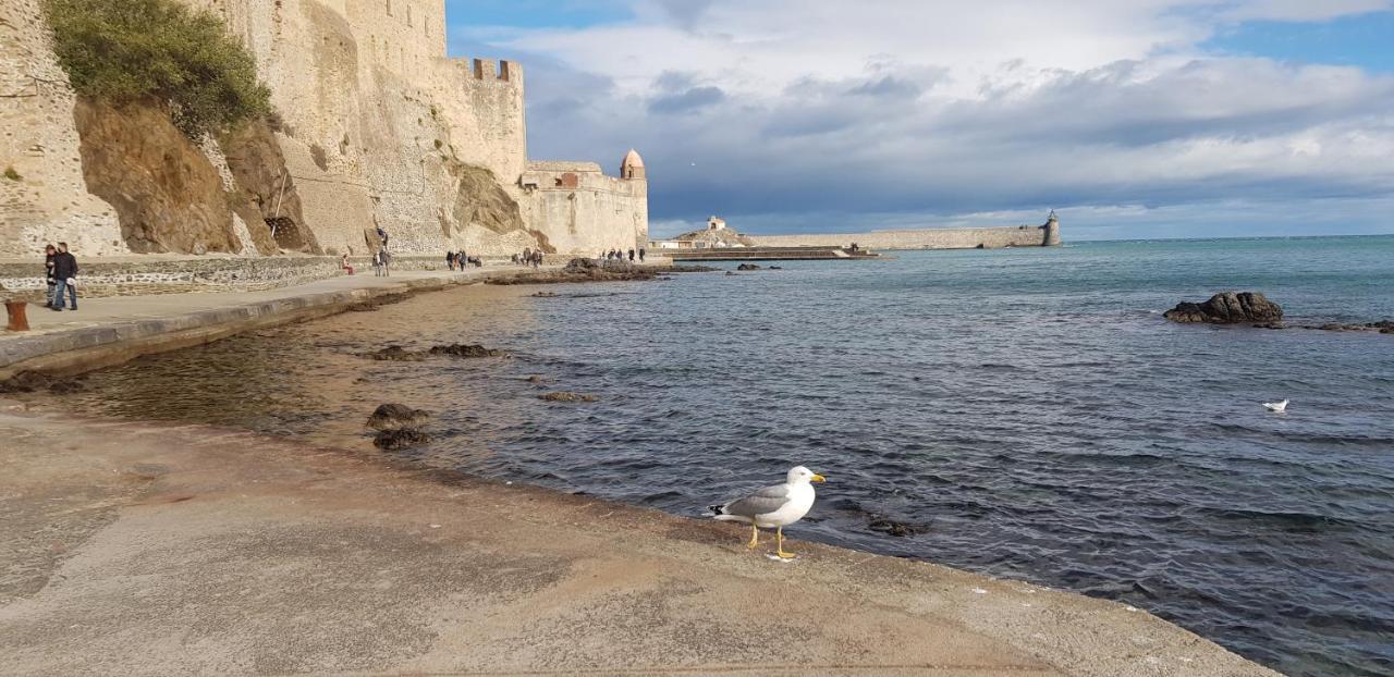 Studio Centre Plage Parking Gratuit Κολιούρ Εξωτερικό φωτογραφία